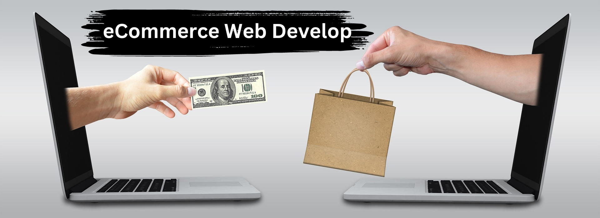 eCommerce Web Develop